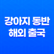 강아지 동반 해외 출국 - 일본 입국을 위한 체크리스트 45