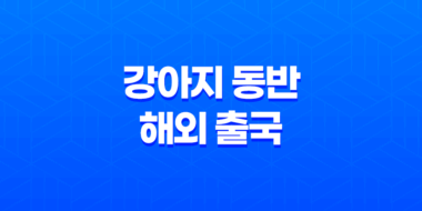 강아지 동반 해외 출국 - 일본 입국을 위한 체크리스트 47