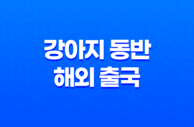 강아지 동반 해외 출국 - 일본 입국을 위한 체크리스트 21