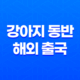 강아지 동반 해외 출국 - 일본 입국을 위한 체크리스트 31