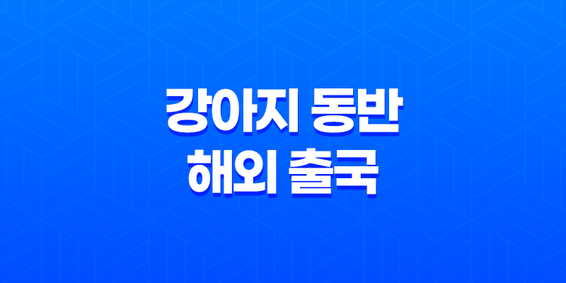 강아지 동반 해외 출국 - 일본 입국을 위한 체크리스트 7
