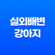 강아지와 저녁산책 실외배변 강아지, 배변봉투 준비 25
