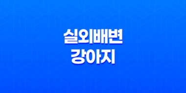 강아지와 저녁산책 실외배변 강아지, 배변봉투 준비 57