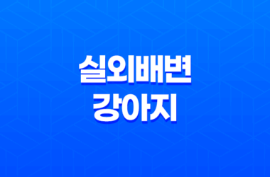 강아지와 저녁산책 실외배변 강아지, 배변봉투 준비 19