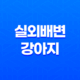 강아지와 저녁산책 실외배변 강아지, 배변봉투 준비 25