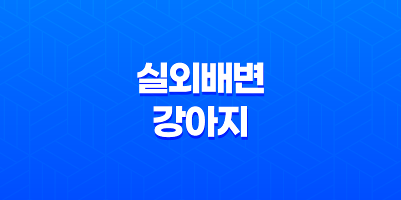 강아지와 저녁산책 실외배변 강아지, 배변봉투 준비 8 강아지와 저녁산책 실외배변 강아지, 배변봉투 준비 7
