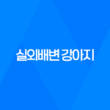 강아지와 저녁산책 실외배변 강아지, 배변봉투 준비 25