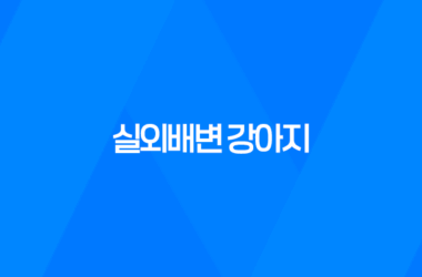 강아지와 저녁산책 실외배변 강아지, 배변봉투 준비 11