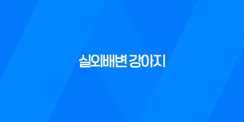 강아지와 저녁산책 실외배변 강아지, 배변봉투 준비 8 강아지와 저녁산책 실외배변 강아지, 배변봉투 준비 7
