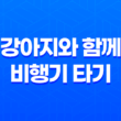 강아지와 함께 비행기 타기 - 출국날 당일 119