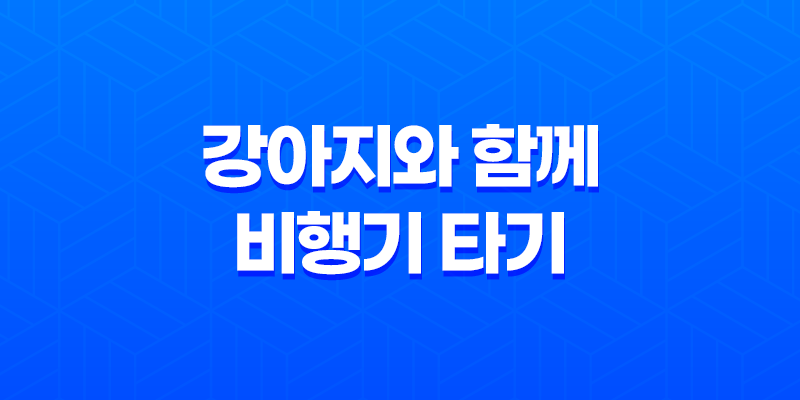 강아지와 함께 비행기 타기 - 출국날 당일 8 강아지와 함께 비행기 타기 - 출국날 당일 7