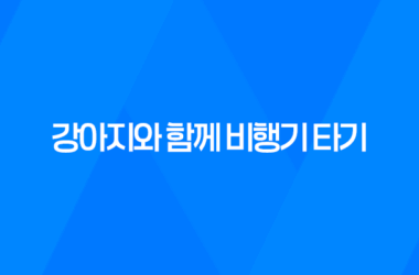 강아지와 함께 비행기 타기 - 출국날 당일 9