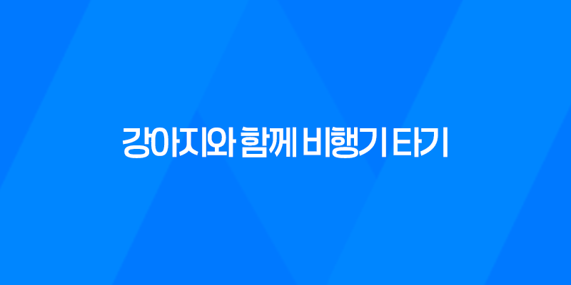강아지와 함께 비행기 타기 - 출국날 당일 7