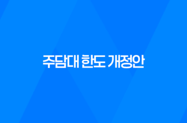 주담대 한도 개정안 (3월 2일 시행 예정) 11