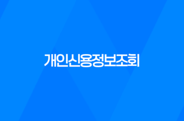 개인신용정보조회, 당신의 신용이 무엇인지 알아보세요! 11
