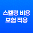 스켈링 비용 보험 적용 시 비용과 조건 15