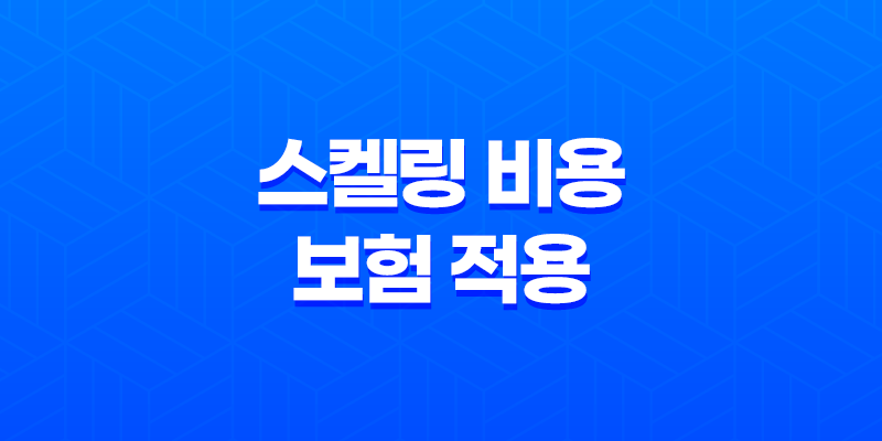 스켈링 비용 보험 적용 시 비용과 조건 8 스켈링 비용 보험 적용 시 비용과 조건 7