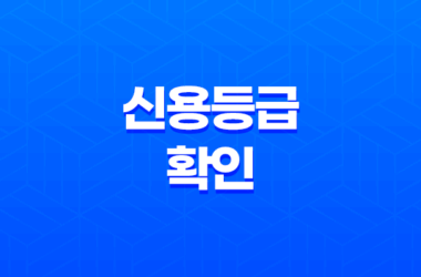 신용등급확인, 당신의 신용상태를 파악하는 방법 11