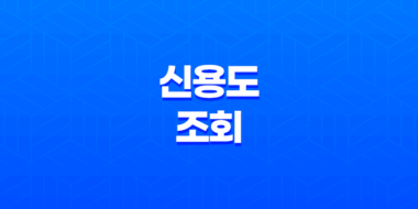 신용도조회, 신용 정보와 점수 확인 방법 51
