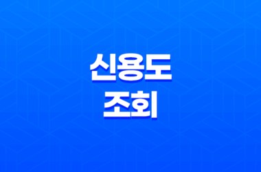 신용도조회, 신용 정보와 점수 확인 방법 17