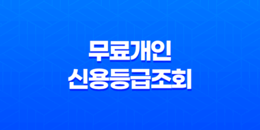 무료개인신용등급조회, 당신의 신용 점수를 알아보세요! 43