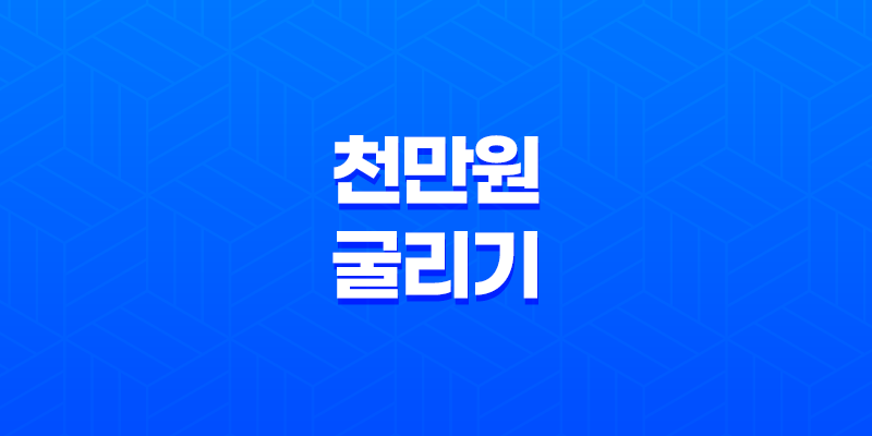 천만원 굴리기, 돈을 효과적으로 운용하는 방법 8 천만원 굴리기, 돈을 효과적으로 운용하는 방법 7