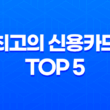사회초년생을 위한 최고의 신용카드 TOP 5 25