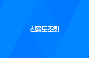신용도조회, 신용 정보와 점수 확인 방법 7