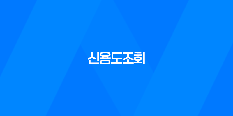 신용도조회, 신용 정보와 점수 확인 방법 8 신용도조회, 신용 정보와 점수 확인 방법 7