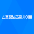 신용정보조회사이트 소개 및 필요성 41