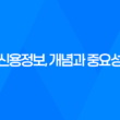 신용정보, 개념과 중요성 19
