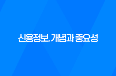 신용정보, 개념과 중요성 11