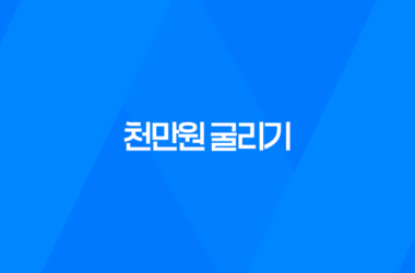 천만원 굴리기, 돈을 효과적으로 운용하는 방법 13