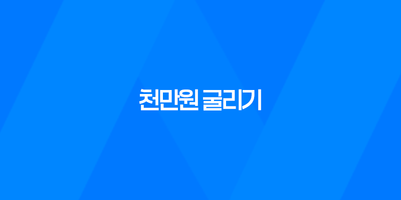천만원 굴리기, 돈을 효과적으로 운용하는 방법 8 천만원 굴리기, 돈을 효과적으로 운용하는 방법 7