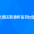 신용조회 종류 및 하는법 43
