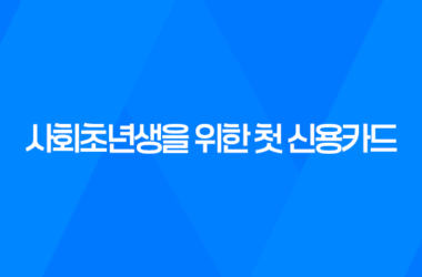 사회초년생을 위한 첫 신용카드 선택 13
