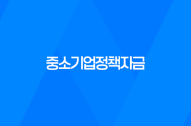중소기업정책자금, 중소기업 지원의 핵심 17