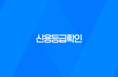 신용등급확인, 당신의 신용상태를 파악하는 방법 13