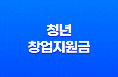 청년창업지원금, 청년사장님을 위한 국가지원사업 11