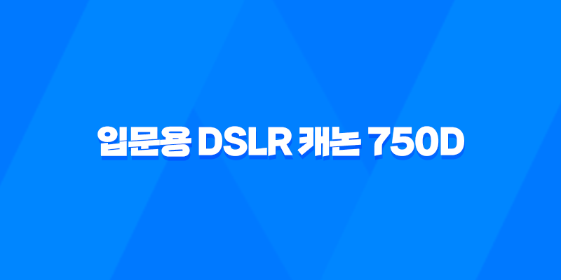 입문용 DSLR 캐논 750D 사용후기 8 입문용 DSLR 캐논 750D 사용후기 7