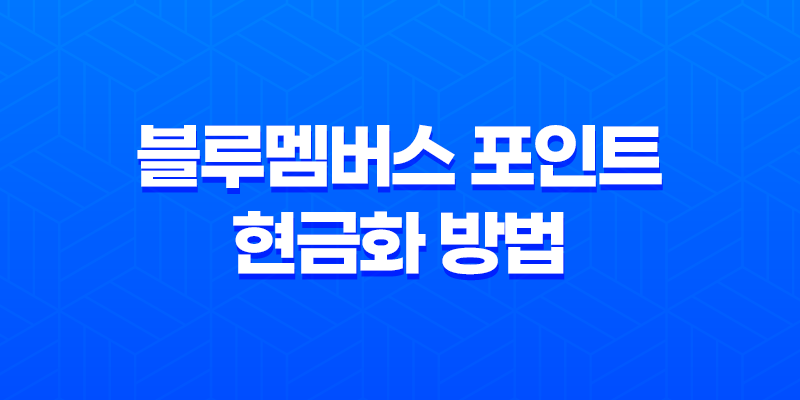 블루멤버스 포인트 현금화 방법, 포인트 사용처 8 블루멤버스 포인트 현금화 방법, 포인트 사용처 7