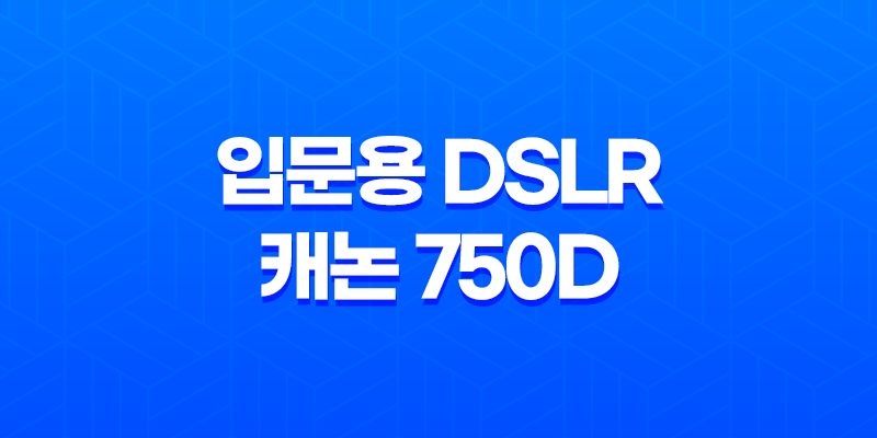 입문용 DSLR 캐논 750D 사용후기 8 입문용 DSLR 캐논 750D 사용후기 7