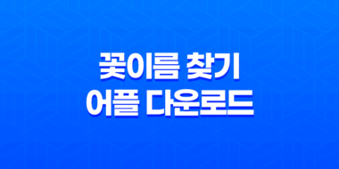 꽃이름 찾기 어플 다운로드 및 네이버 검색 렌즈 구글, 다음 31