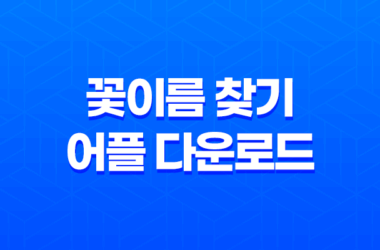 꽃이름 찾기 어플 다운로드 및 네이버 검색 렌즈 구글, 다음 7