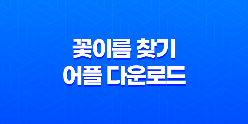 꽃이름 찾기 어플 다운로드 및 네이버 검색 렌즈 구글, 다음 8 꽃이름 찾기 어플 다운로드 및 네이버 검색 렌즈 구글, 다음 7