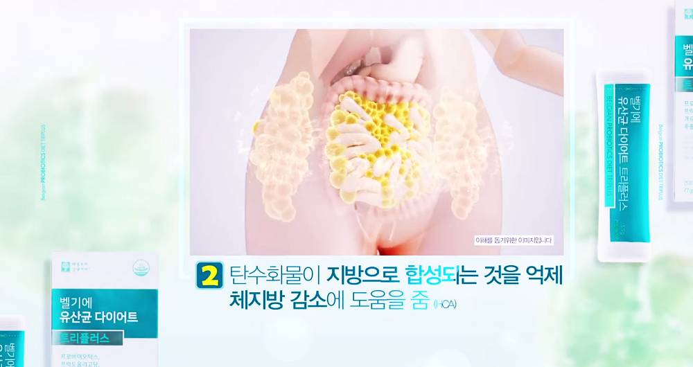 벨기에 유산균 다이어트 트리플러스 장 건강과 다이어트에 도움을 주는 제품 성분, 효능, 가격, 섭취 방법, 후기, 부작용 13