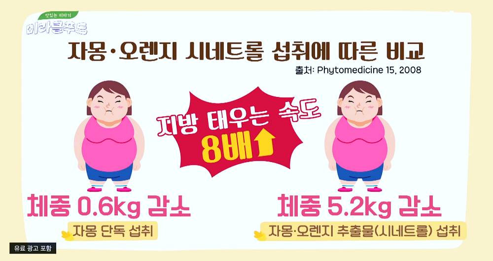 시네트롤 자몽 오렌지 다이어트 성분, 효능, 가격, 섭취 방법, 부작용 17