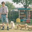 강아지 토하는 이유와 종류, 강아지 구토 증상 11