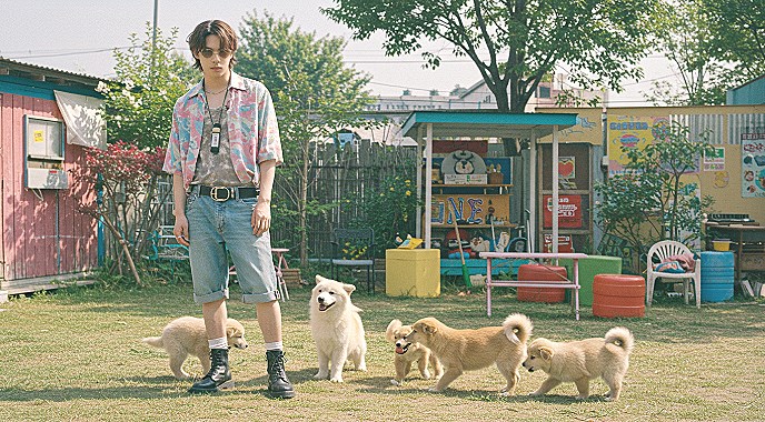 강아지 토하는 이유와 종류, 강아지 구토 증상 14 강아지 토하는 이유와 종류, 강아지 구토 증상 13