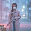 미세먼지 심할 때, 강아지 산책 하면 안되는 이유 23